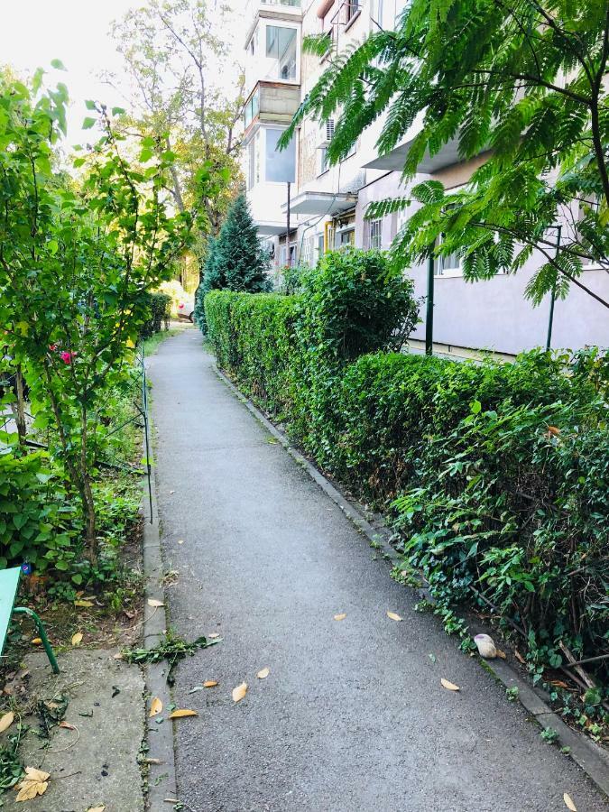 Business And Travel Apartament
