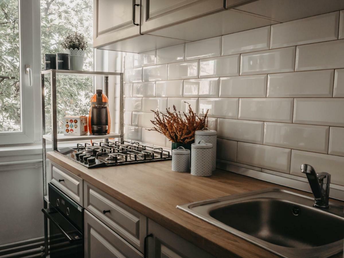 Apartament Business And Travel Timişoara